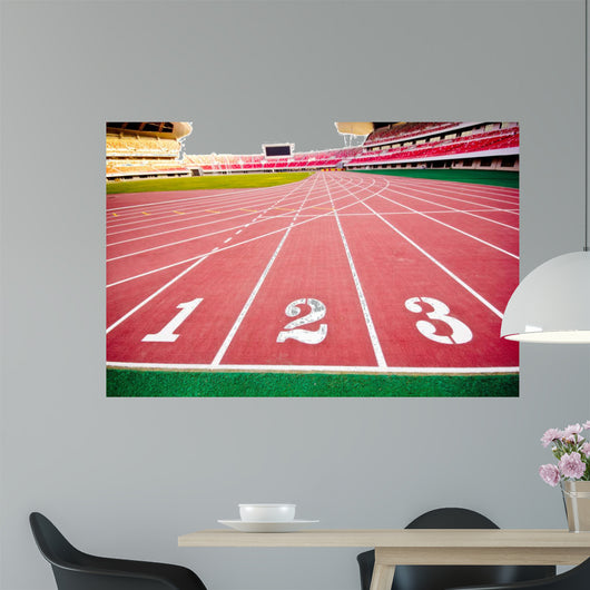 stadium Wall Mural