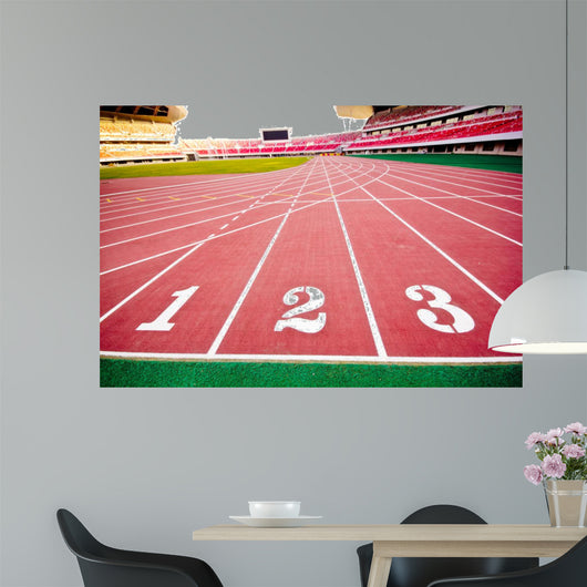 stadium Wall Mural