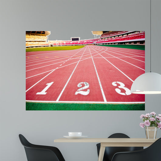 stadium Wall Mural