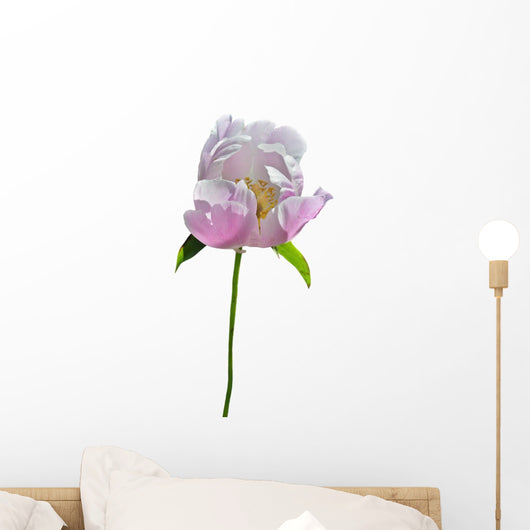 Flower Wild Peony 13 Wall Decal
