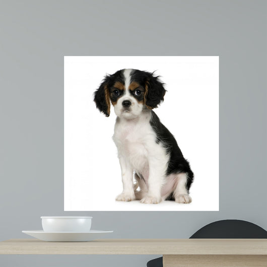 Cavalier King Charles Spaniel Wall Decal