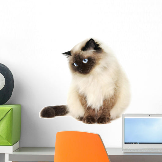 Cat Wall Decal