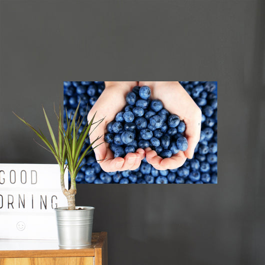 Female Hands Holding Tasty Wall Decal