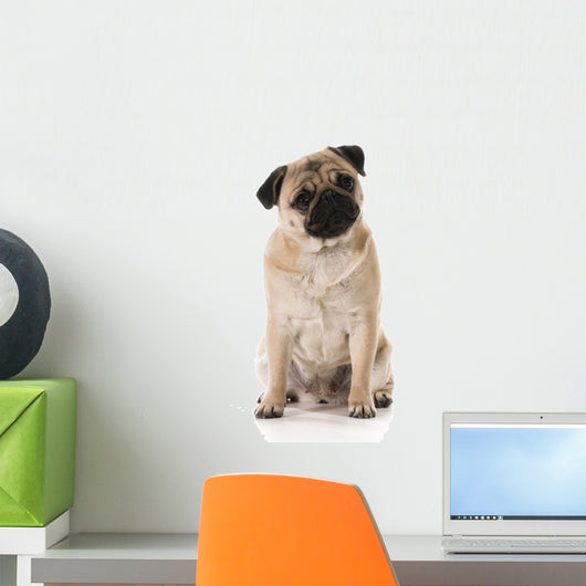 Pug Wall Decal