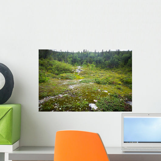 Rugged Alpine Terrain Top Wall Decal