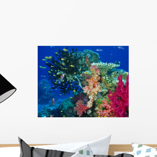 Soft Coral Reef Scene Wall Mural