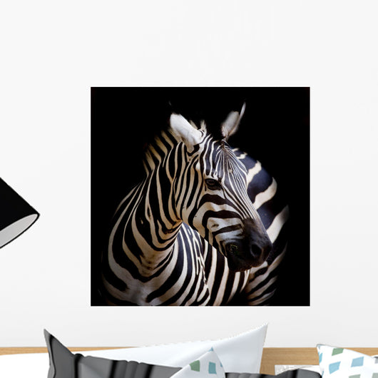 A Headshot of a Burchell's Zebra Wall Mural