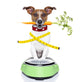 Healthy Dog Wall Decal