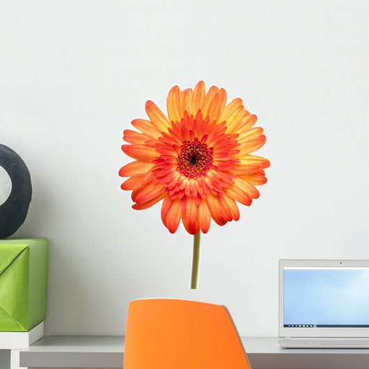 Gerber Wall Decal
