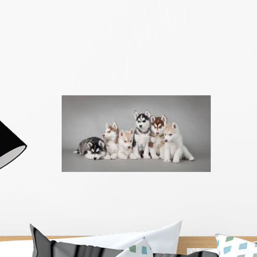 Siberian Husky Dog Puppy Wall Mural