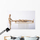 Massage Therapy Wall Mural