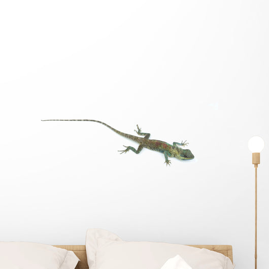 Blue Lizard with big eyes in closed up details, like small repti Wall Decal