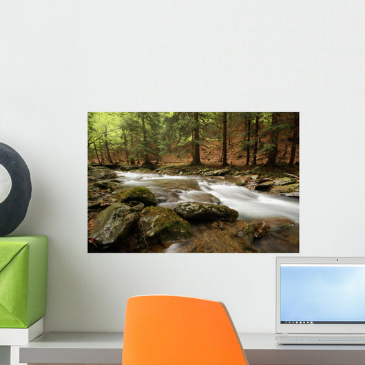 river in the wood Wall Mural