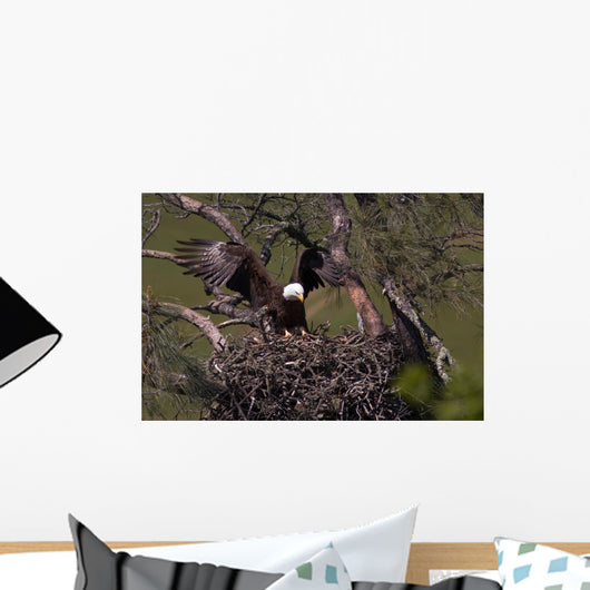 Landing on the Nest Wall Mural