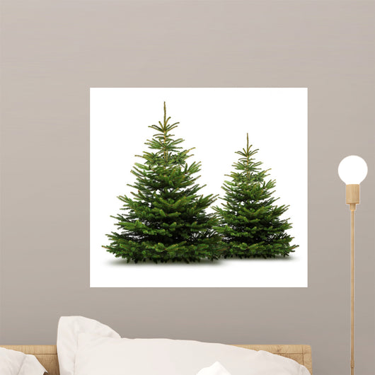 Two Pine Trees