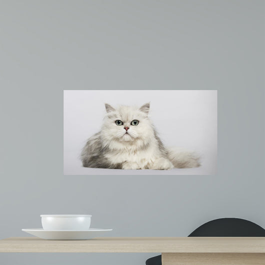 Persian 2 Years Old Wall Decal