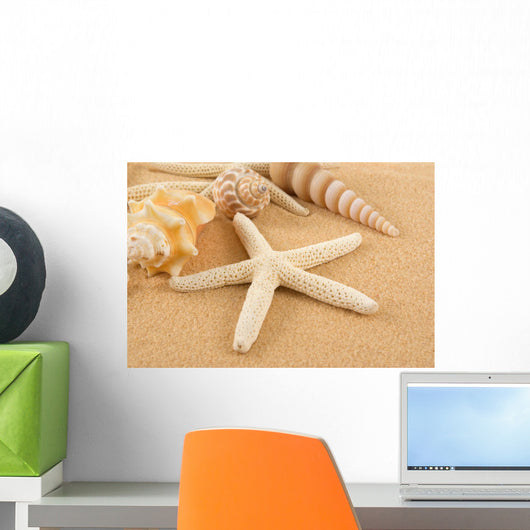 Seashell Wall Mural