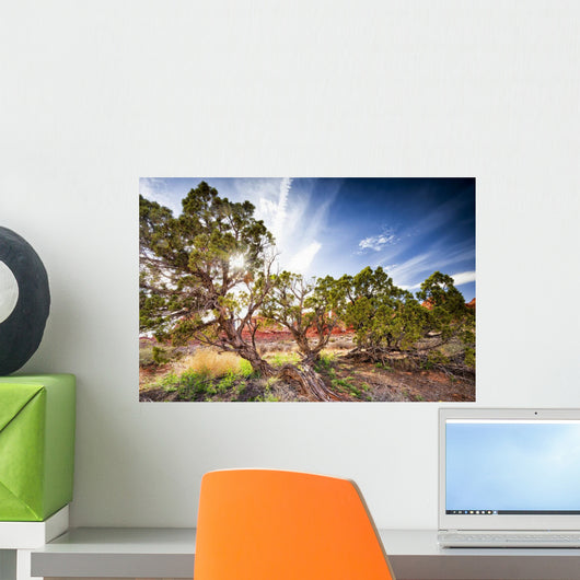 Juniper Trees Arches National Wall Decal
