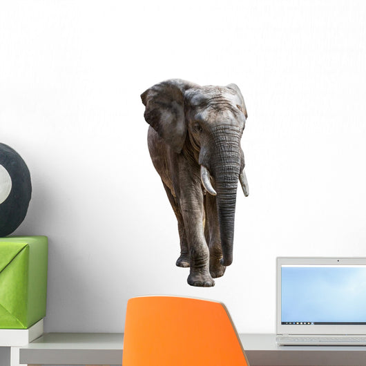 Elephant White Wall Decal