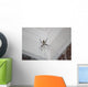 Writing Spider Wall Mural