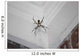 Writing Spider Wall Mural