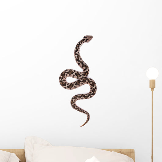 Viper Snake Wall Decal