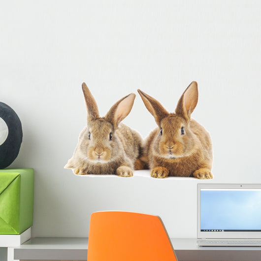 Rabbits Wall Decal