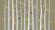 Vector Birch or Aspen Wall Decal