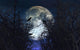 Spooky with Crows Trees Wall Decal