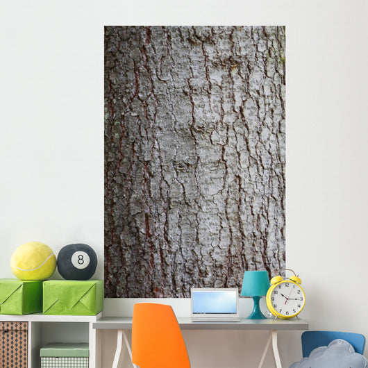 Tree Bark over Crust Wall Decal