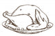 Thanksgiving Turkey Wall Decal
