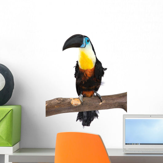 Toucan Wall Decal