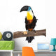 Toucan Wall Decal