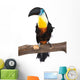 Toucan Wall Decal