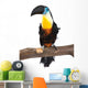 Toucan Wall Decal