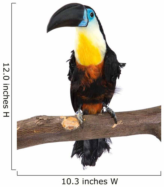 Toucan Wall Decal
