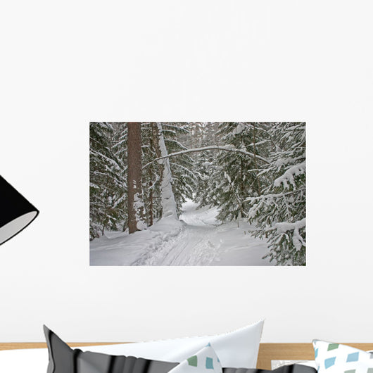 winter forest Wall Mural