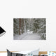 winter forest Wall Mural