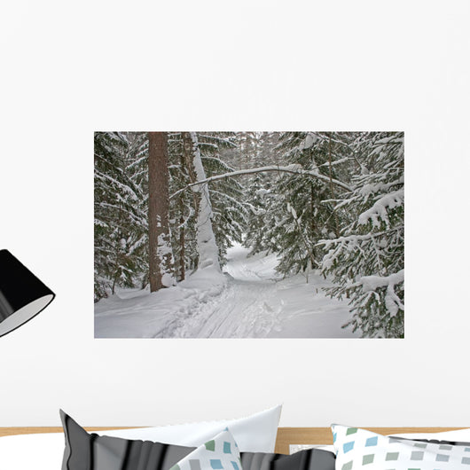 winter forest Wall Mural
