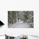 winter forest Wall Mural