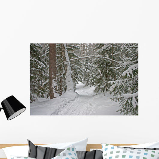 winter forest Wall Mural