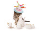 Birthday Teatime Kitten Cat Wall Decal