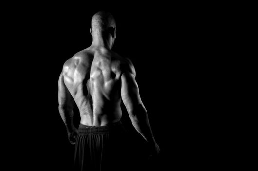 Back Muscles Fitness Wall Decal