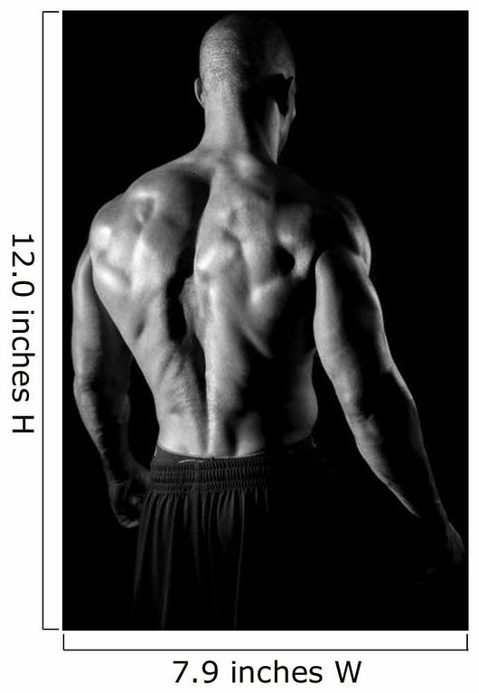 back muscles fitness Wall Mural