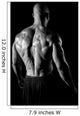 back muscles fitness Wall Mural
