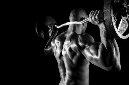 Back Shoulder Press Wall Decal