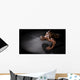 Guy Pushup Wall Decal