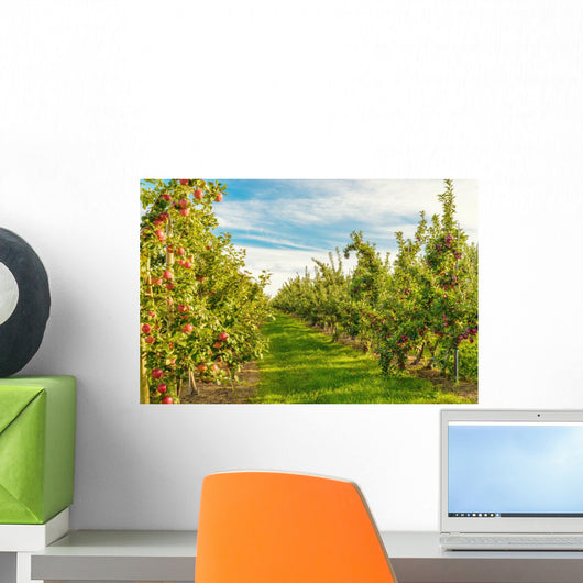 Apple Tree Orchard Wall Decal