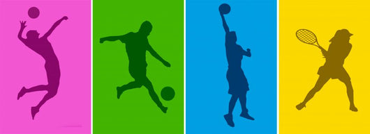 Sport Silhouette 2 Wall Decal