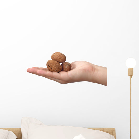 shelled walnuts Wall Decal